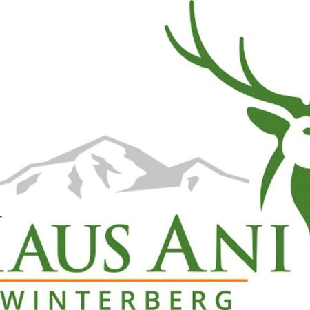 Haus Ani Winterberg Villa Dış mekan fotoğraf