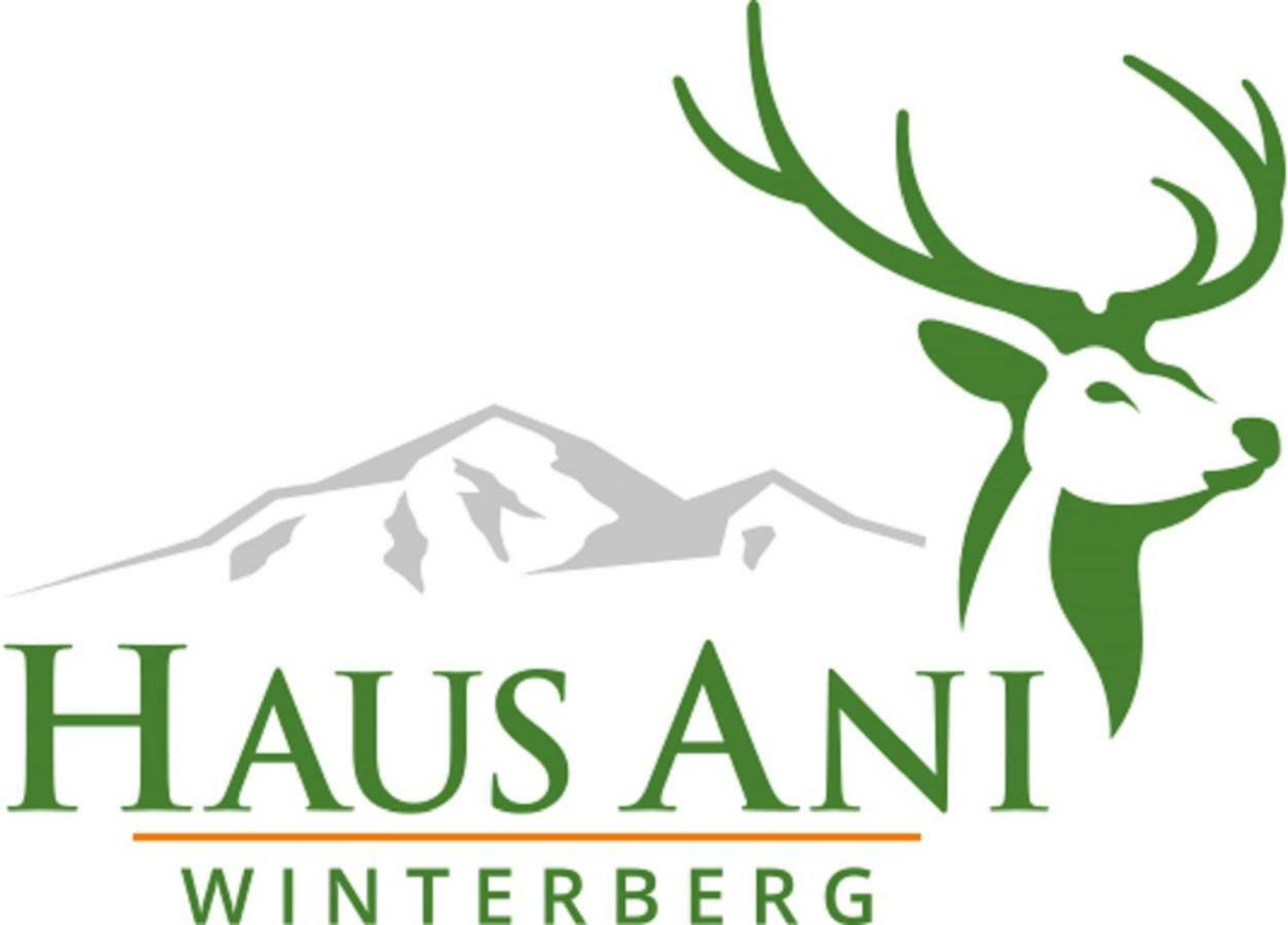 Haus Ani Winterberg Villa Dış mekan fotoğraf