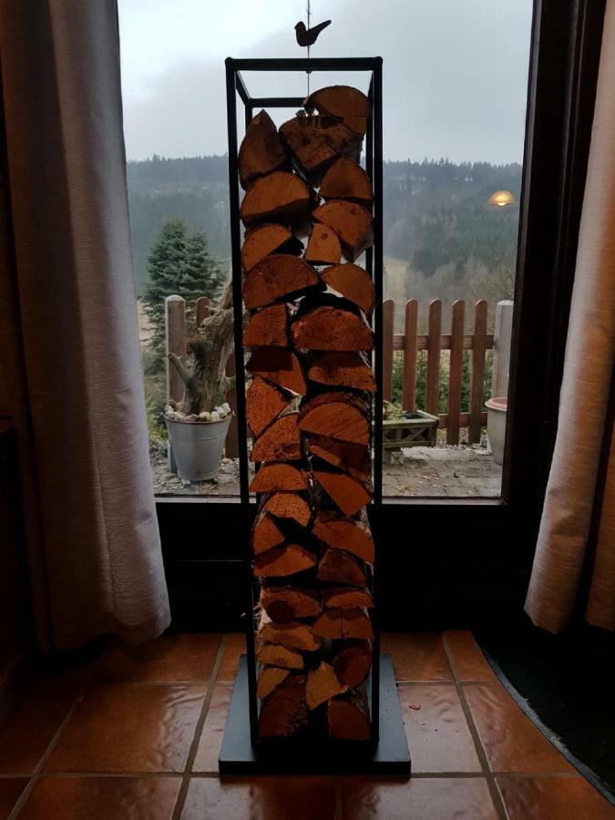 Haus Ani Winterberg Villa Dış mekan fotoğraf