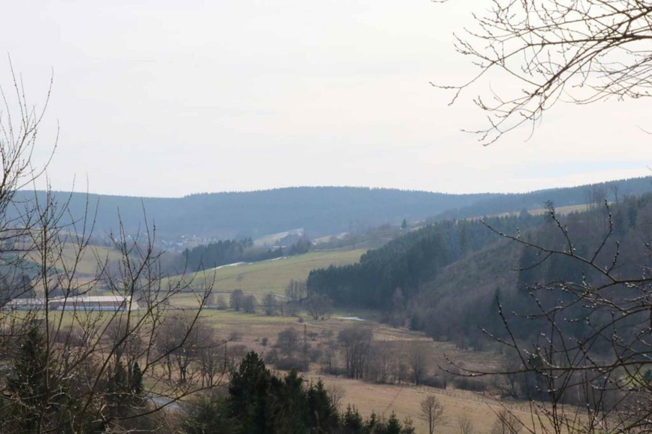 Haus Ani Winterberg Villa Dış mekan fotoğraf