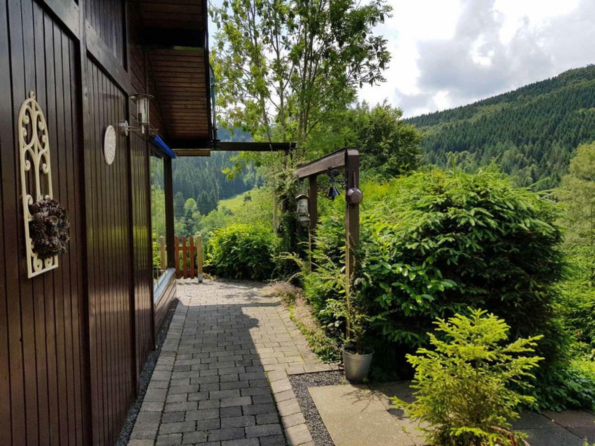 Haus Ani Winterberg Villa Dış mekan fotoğraf