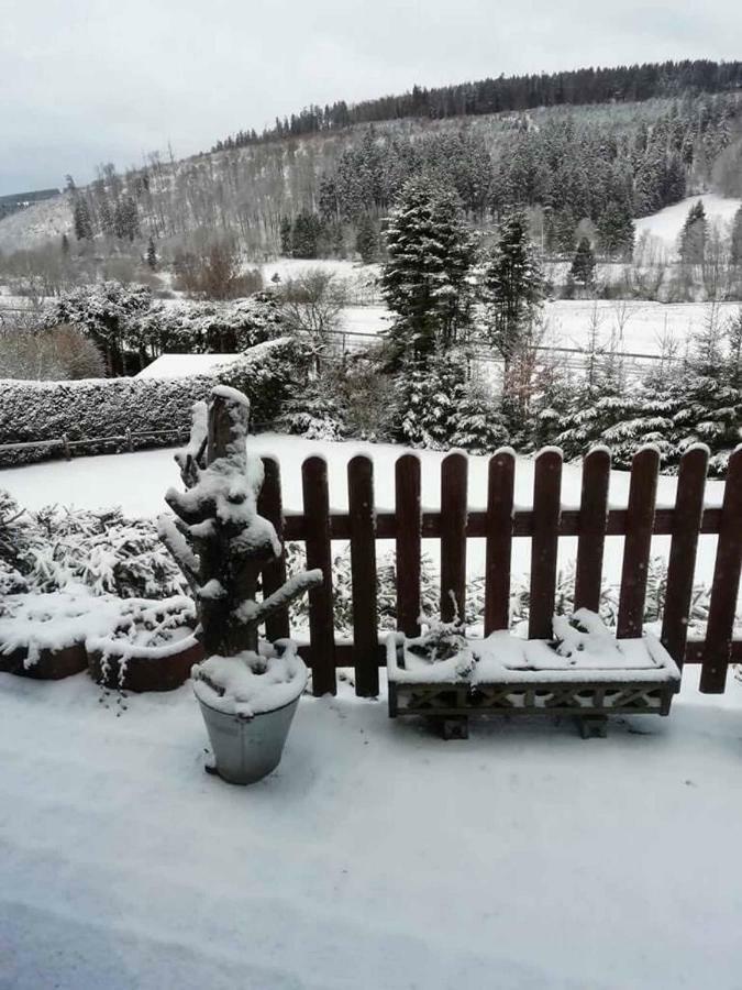 Haus Ani Winterberg Villa Dış mekan fotoğraf