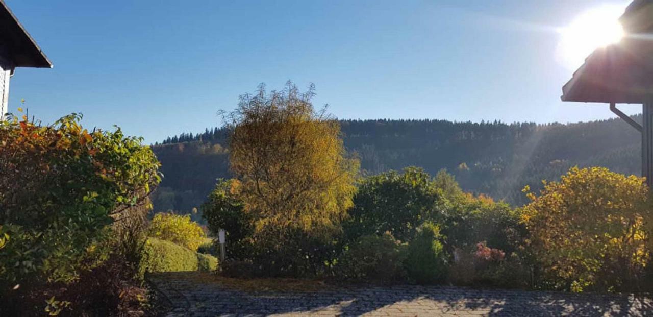 Haus Ani Winterberg Villa Dış mekan fotoğraf